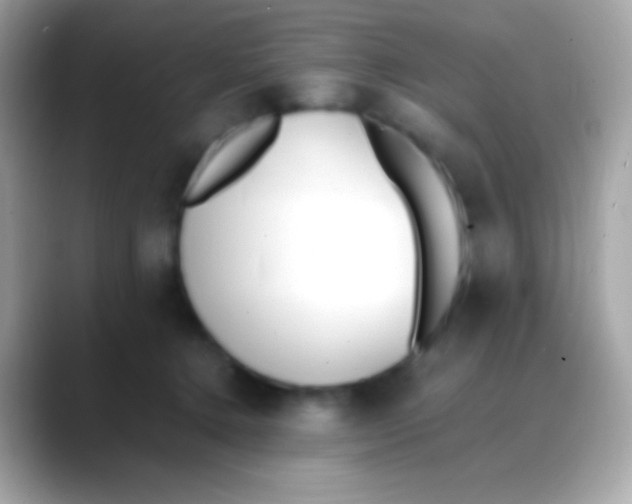 X0000088050368200706011346