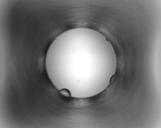 X0000088050378200706011346