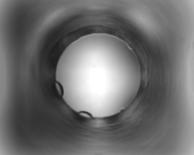 X0000088050383200706011347