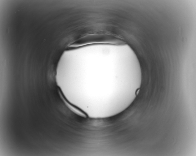 X0000088050384200706011347