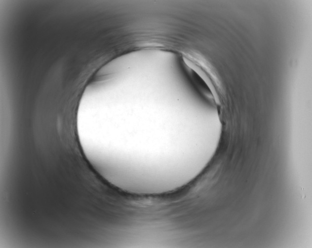X0000088050385200706011346