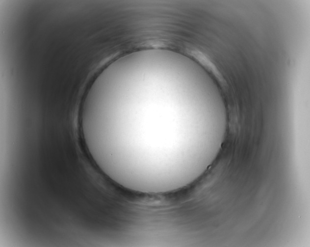 X0000088050386200706011346