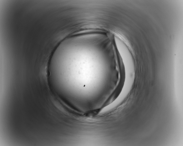 X0000088050389200706011346