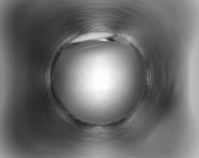 X0000088050390200706011346
