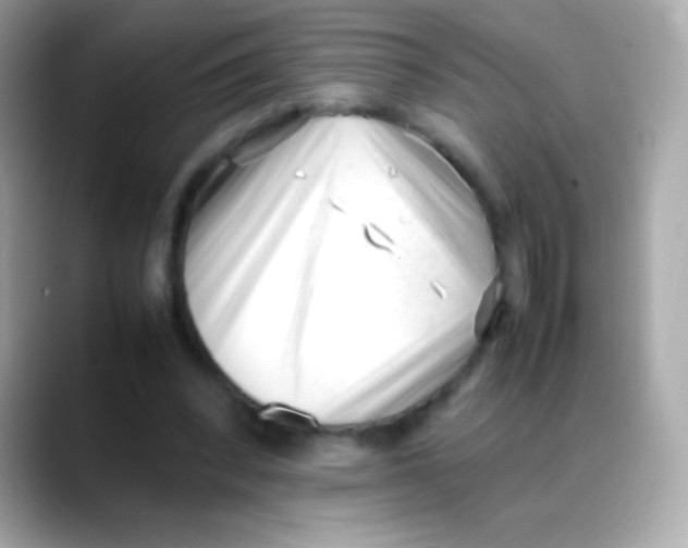 X0000088050392200706011346