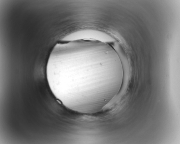 X0000088050393200706011346
