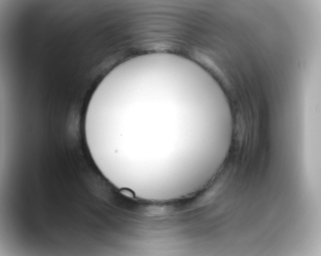 X0000088050394200706011346