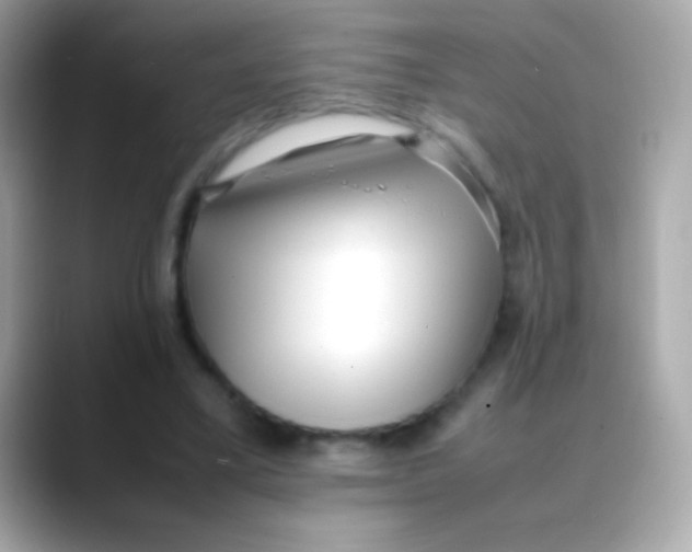 X0000088050395200706011346