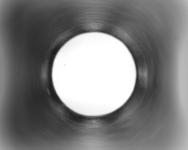 X0000088050396200706011346