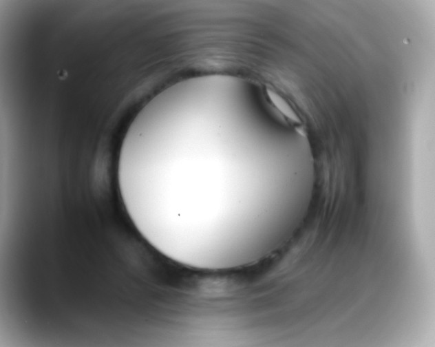 X0000088050400200706011346