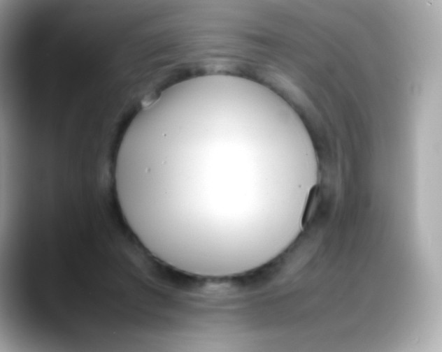 X0000088050401200706011346