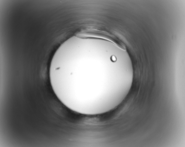 X0000088050403200706011346