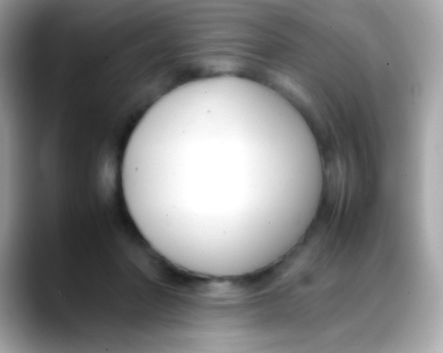 X0000088050406200706011346