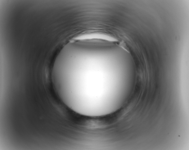 X0000088050408200706011346
