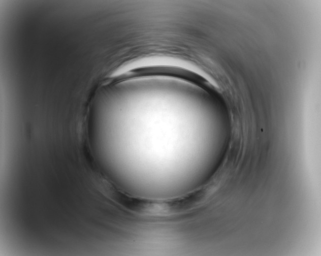 X0000088050409200706011346