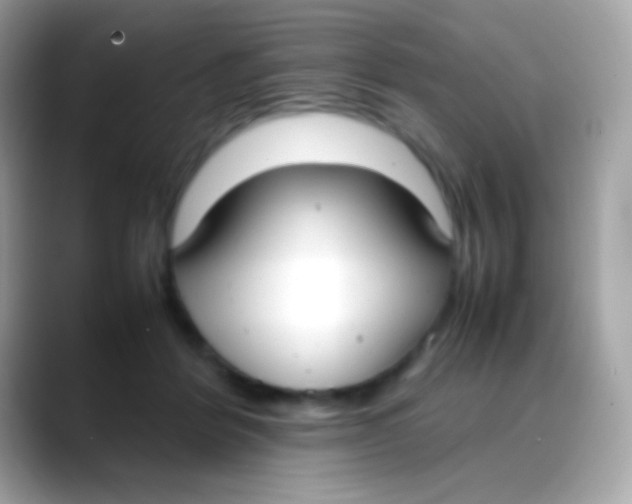 X0000088050412200706011346