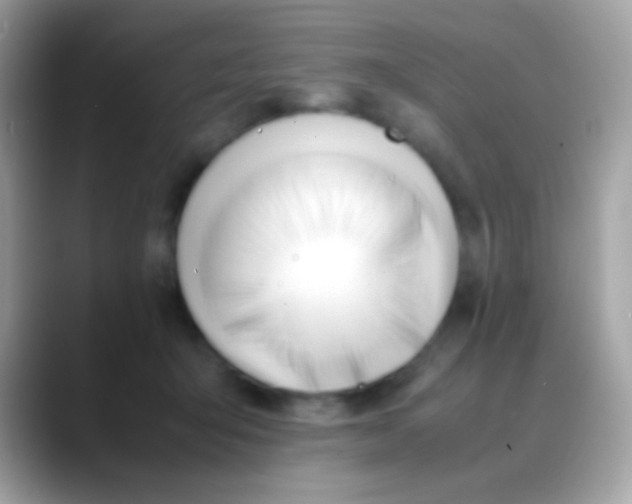 X0000088050415200706011346