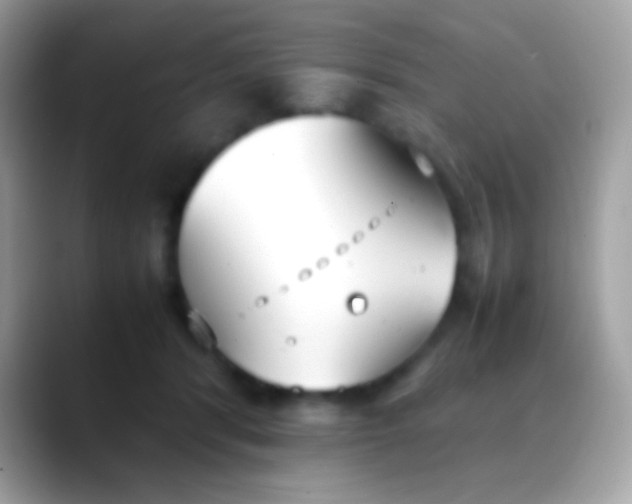 X0000088050416200706011346