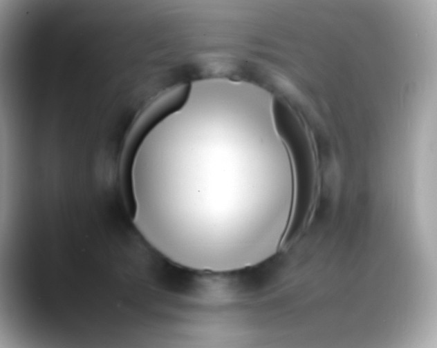 X0000088050417200706011346