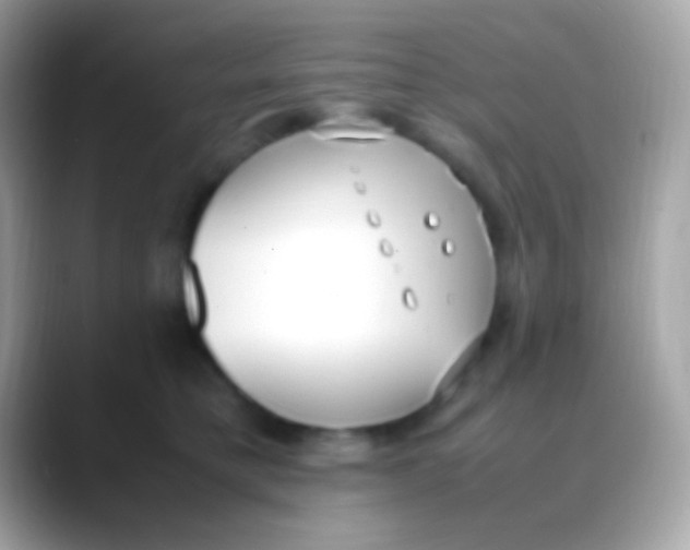 X0000088050421200706011346