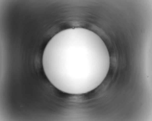 X0000088050422200706011346