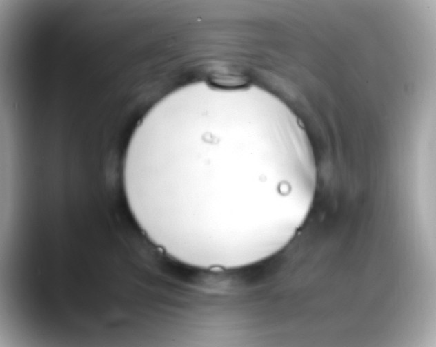 X0000088050423200706011346