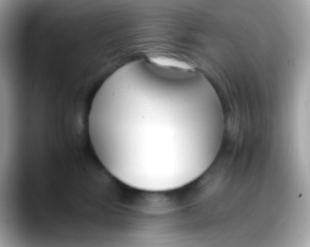 X0000088050424200706011346