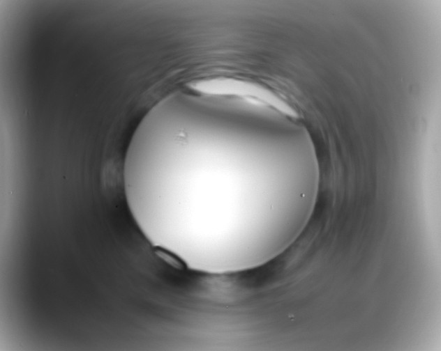 X0000088050425200706011346
