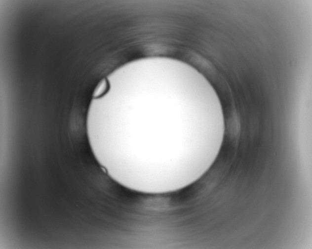 X0000088050426200706011346