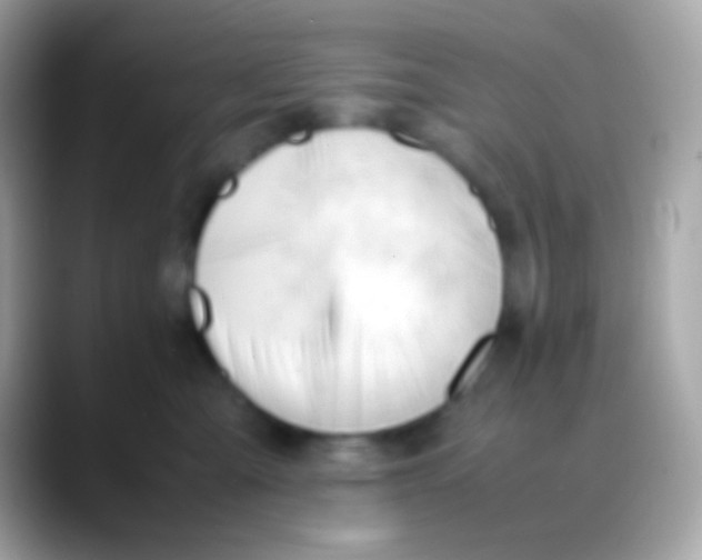 X0000088050427200706011346