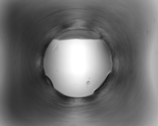 X0000088050428200706011346