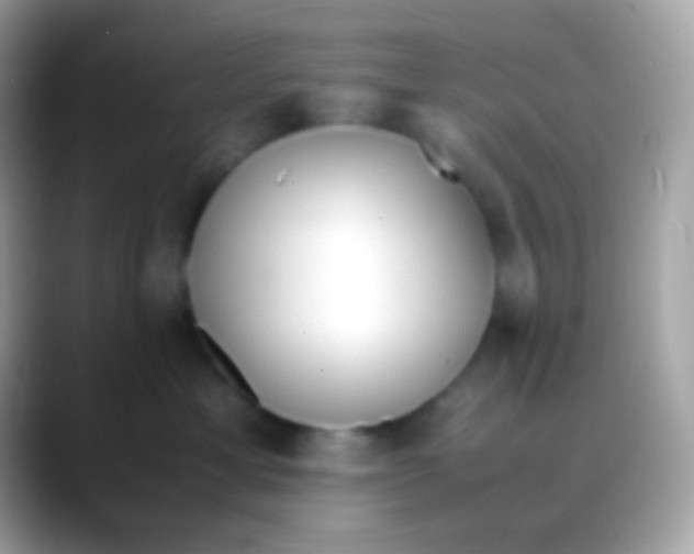 X0000088050429200706011345