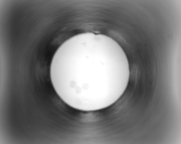 X0000088050430200706011345