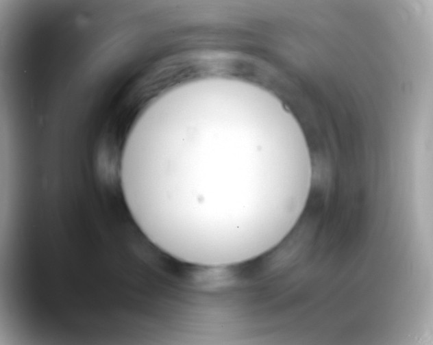 X0000088050431200706011345