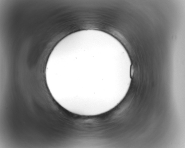 X0000088050433200706011345