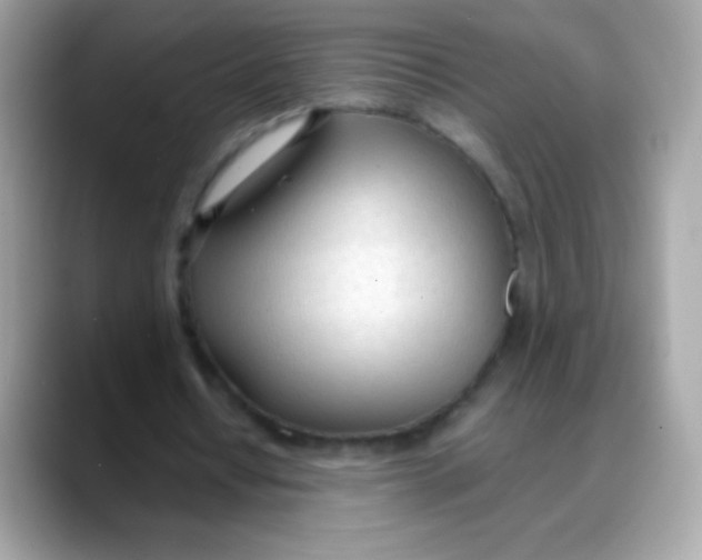 X0000088050434200706011345
