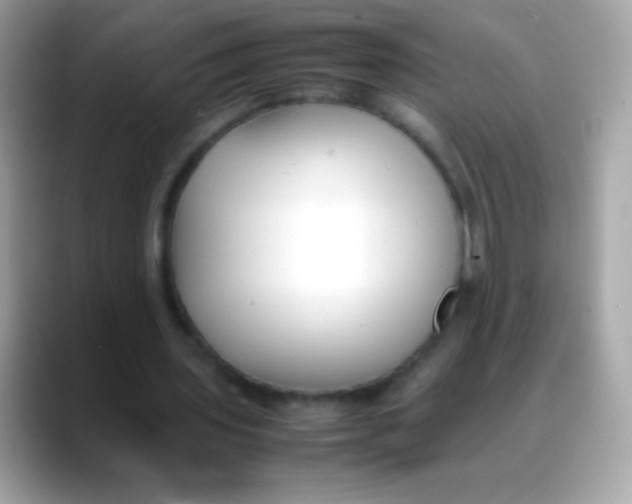 X0000088050435200706011345