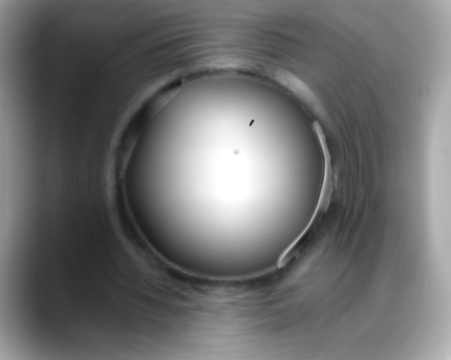 X0000088050436200706011345