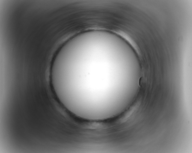 X0000088050437200706011345