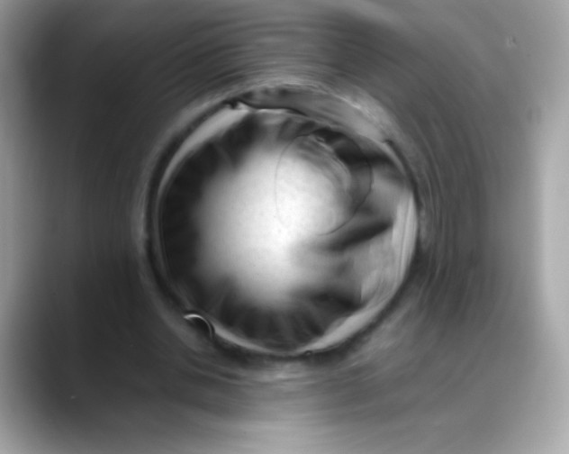 X0000088050438200706011345