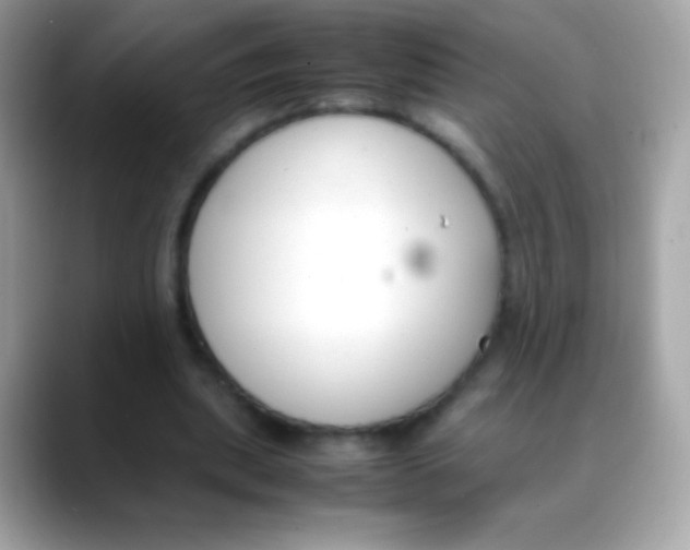 X0000088050439200706011345