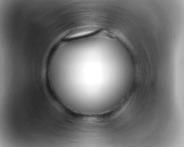 X0000088050440200706011345