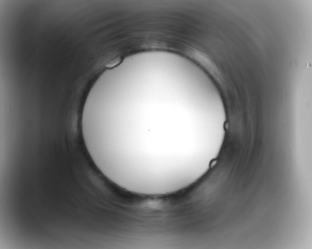 X0000088050441200706011345