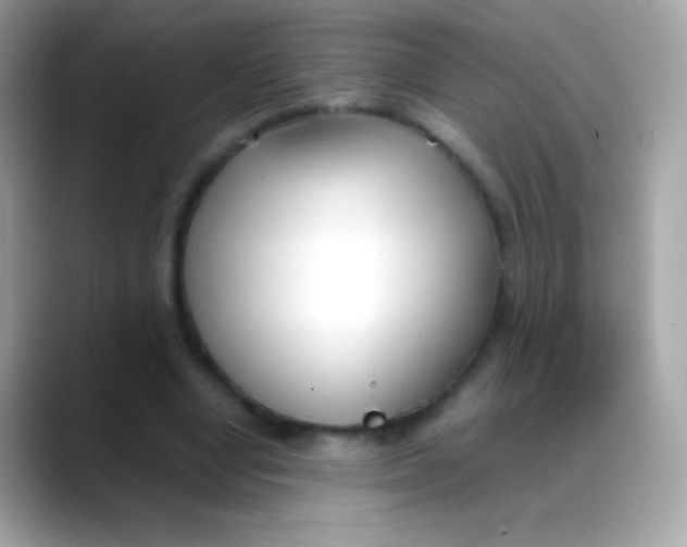 X0000088050442200706011345