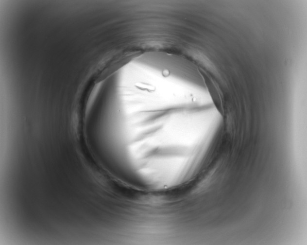 X0000088050444200706011345
