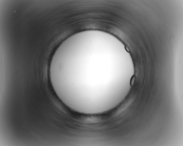 X0000088050445200706011345