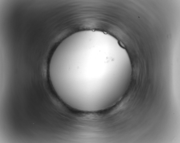 X0000088050446200706011345