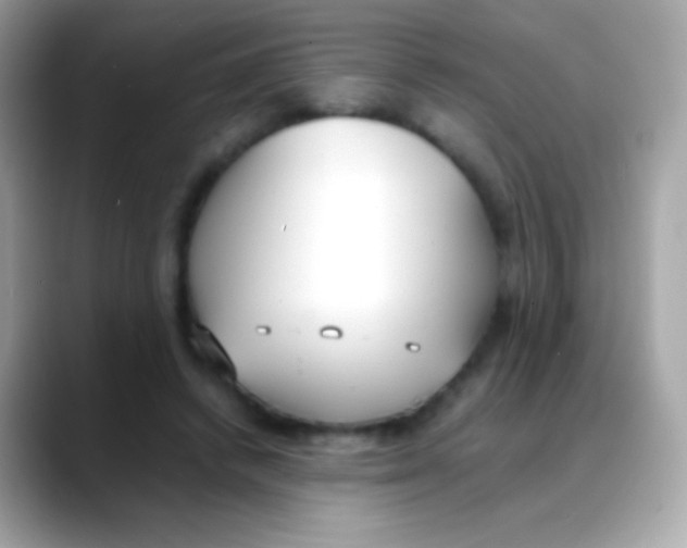 X0000088050448200706011345