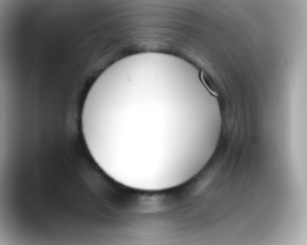X0000088050450200706011345