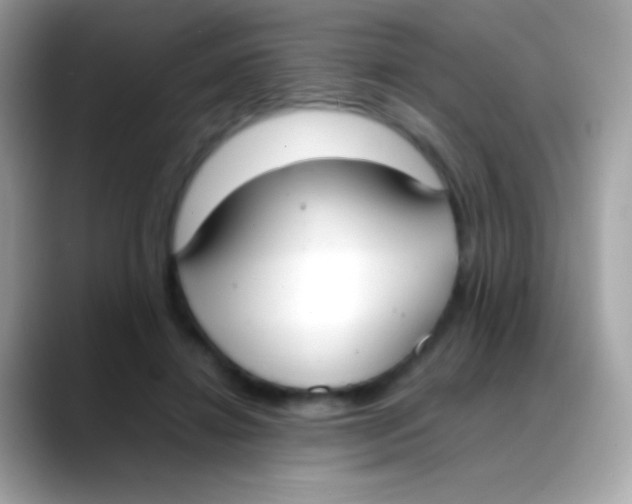 X0000088050452200706011345